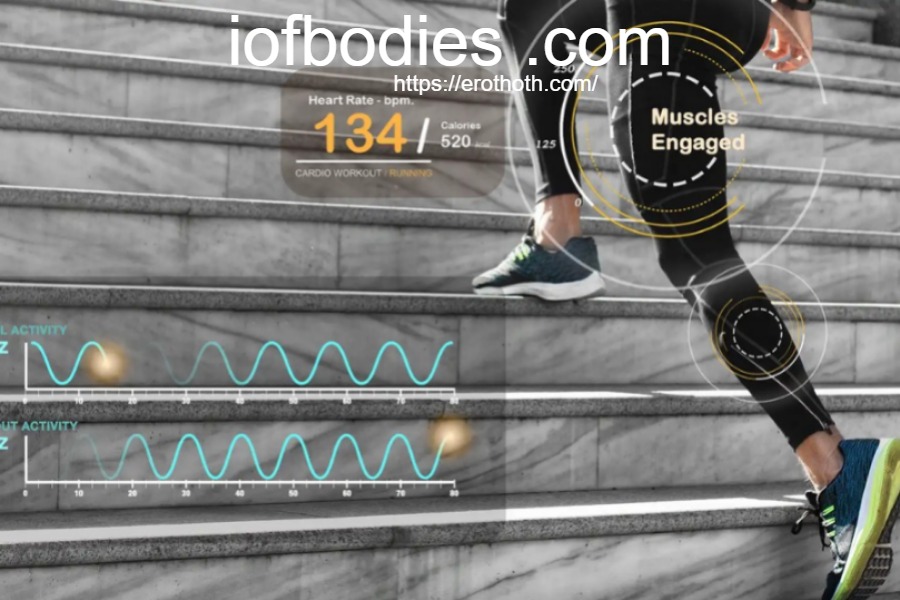 IofBodies.com